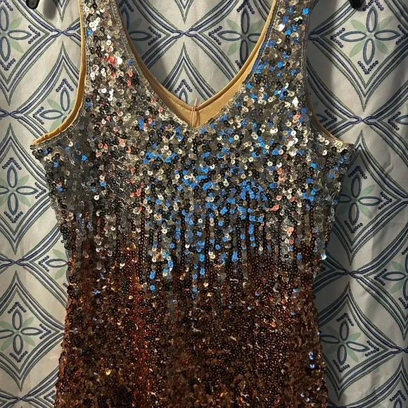 NWT Sequin Ombre Sleeveless Dress w/Perfectly in Tact Embellishments and Lined - Picture 11 of 16